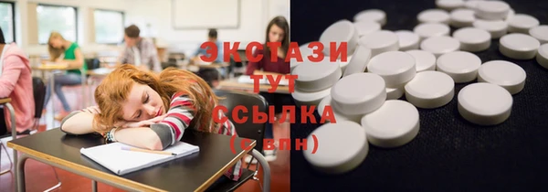 соль ск Каменка
