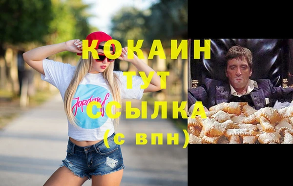 соль ск Каменка