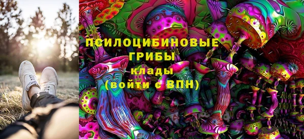 соль ск Каменка