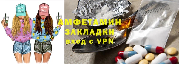 соль ск Каменка