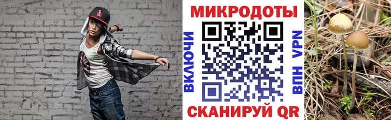 Купить  Ефремов  Галлюциногенные грибы мицелий 