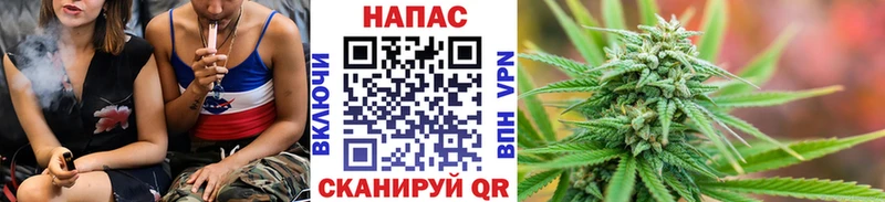 Купить где  Ефремов  Конопля VHQ 